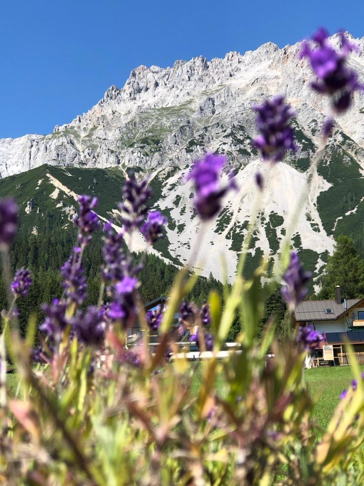 Club Villa Ramsau am Dachstein Ngoại thất bức ảnh